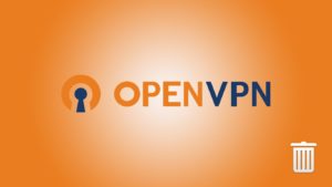Uninstall OpenVPN