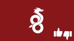 Advantages and Disadvantages of WireGuard