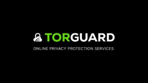 TorGuard VPN Review