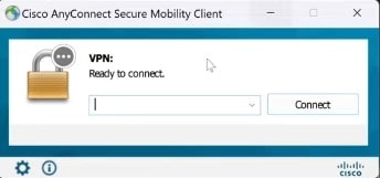 Cisco AnyConnect VPN Interface