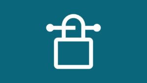 VPN Compatibility